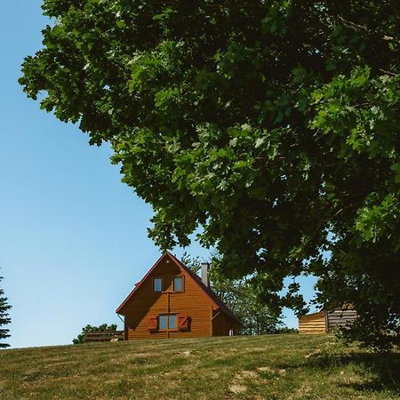 Widokowka Kaszuby Villa Mirachowo Kültér fotó