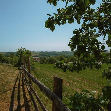 Widokowka Kaszuby Villa Mirachowo Kültér fotó