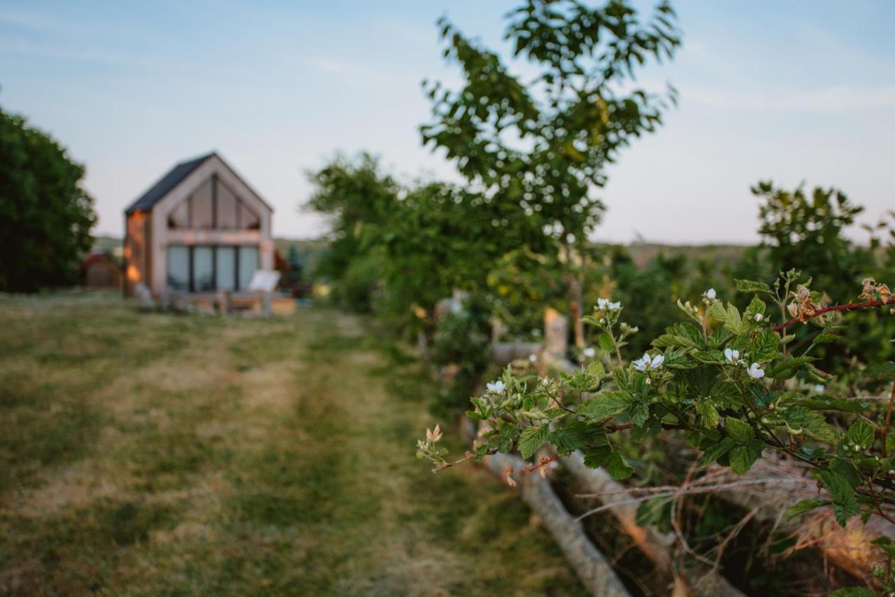 Widokowka Kaszuby Villa Mirachowo Kültér fotó